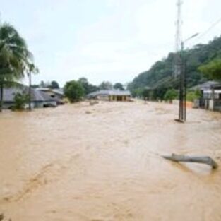 WhatsApp Image 2025-12-11 at 15.36.15