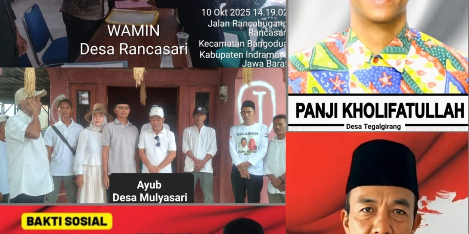 WhatsApp Image 2025-12-15 at 16.36.35