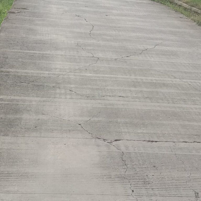 WhatsApp Image 2025-12-16 at 18.49.08